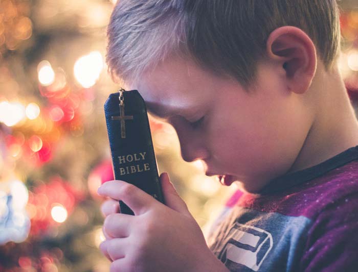 智能学习进步的云呼网页版